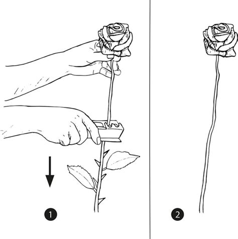 Esschert Design Désépinoir Bloomling Belgique