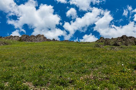 High Alpine Grass On Steep Slope Stock Photo Download Image Now