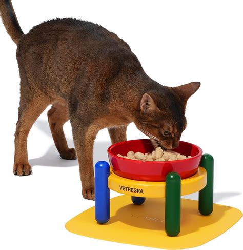 Pet Supplies : VETRESKA Elevated/Raised Dog Bowls Cat Food and Water ...