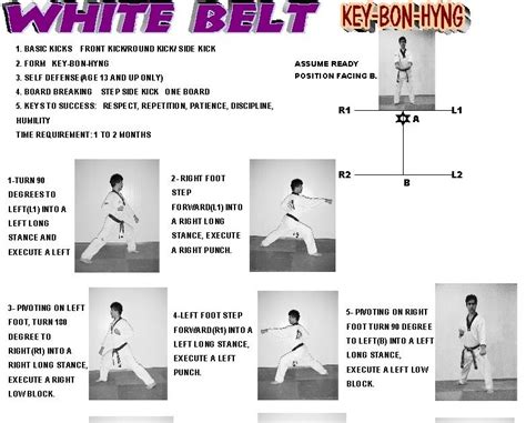 Taekwondo Moves Step By Step Move To Self Defense