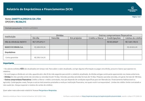 Scr Bacen O Que Como Consultar Limpar E Restri Es