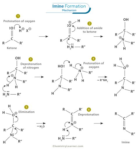 Imine Definition Structure Formation And Mechanism