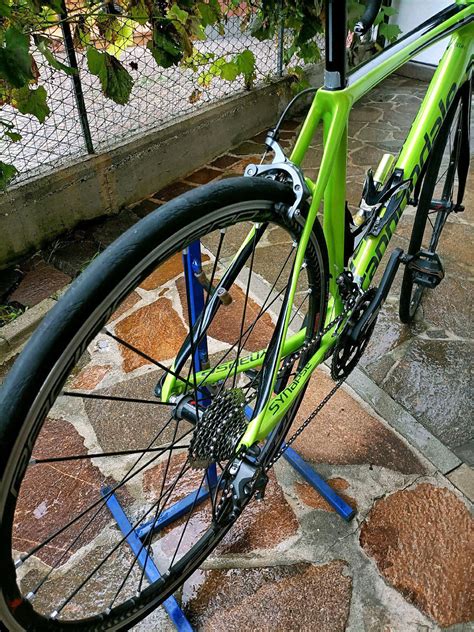 Cannondale Synapse Carbon Ultegra Used In M Buycycle