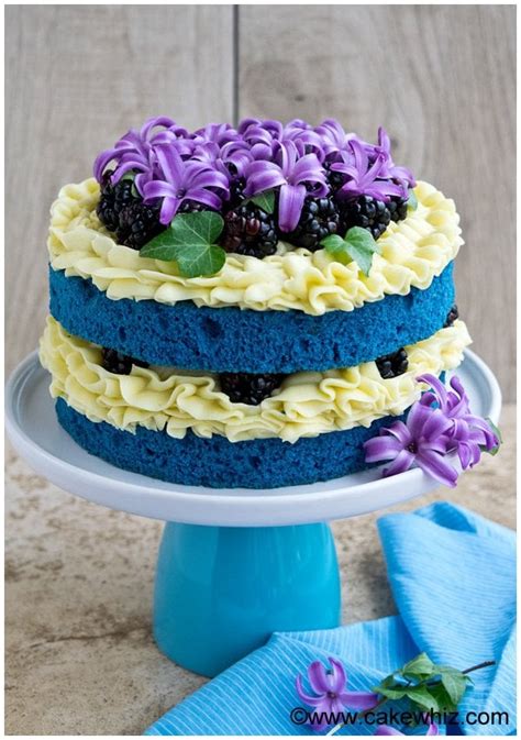 Easy Cake Decorating Ideas Cakewhiz