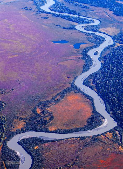 Colorful Muskeg | Alaska | Robert Faucher Photography