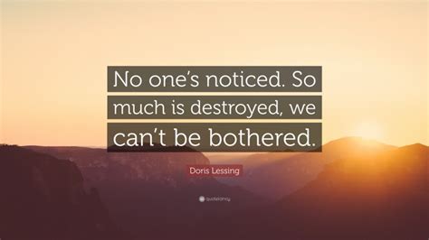 Doris Lessing Quote No Ones Noticed So Much Is Destroyed We Cant