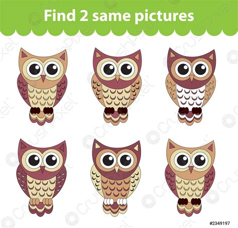 Kinderen Educatief Spel Vinden Twee Dezelfde Foto S Set Stock Vector