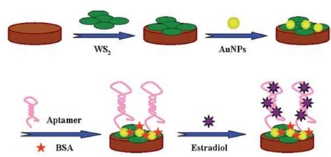 Schematic Diagram Showing The Fabrication Of Aptamer Immobilized