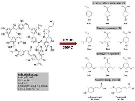 Unlocking Molecular Fingerprint of an Ombrotrophic Peat Bog: Advanced