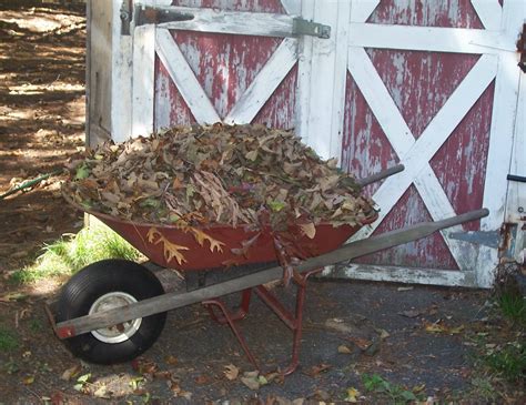 Leaf Wheelbarrow1 Cindy S Recipes And Writings