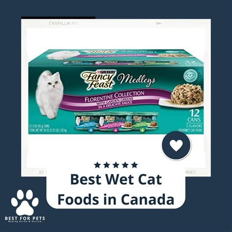 14 Best Wet Cat Foods In Canada