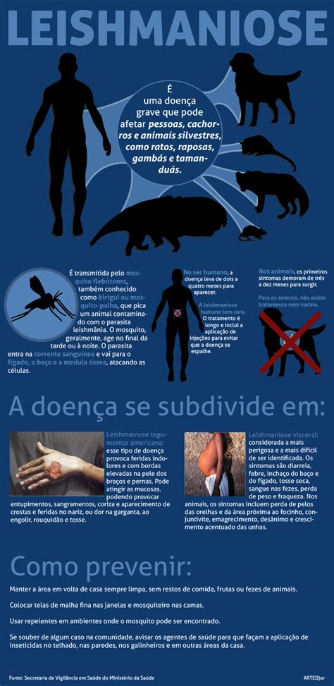 Mapa Conceitual Leishmaniose Visceral Ancesa