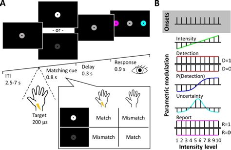 Neural Basis Of Somatosensory Target Detection Independent Of