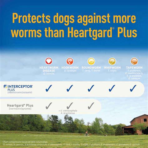 Interceptor Plus For Dogs Elanco Animal Health Safepharmacy