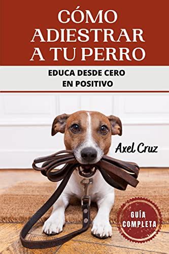 Gu A Para Entrenar A Tu Perro Aprende C Mo Educar A Tu Mejor Amigo