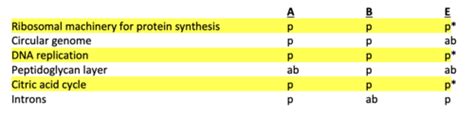 BIOL Final Exam Flashcards Quizlet