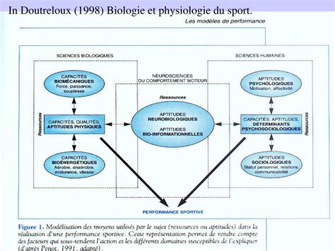 PPT LES FACTEURS DE LA PERFORMANCE SPORTIVE ET LES MODELES DETUDE DE