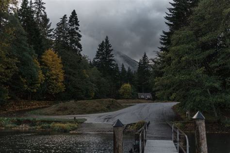 Road Trip To Forks Washington — René Stander Photo In 2020 Twilight