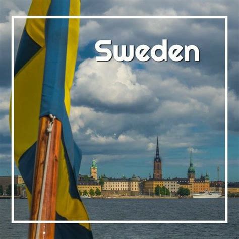 Understanding the Swedish Pitch Accent | 🇸🇪Learn Swedish Here🇸🇪 Amino