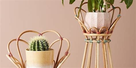 18 Stylish Indoor Flower Pots Affordable Indoor Pots For Your Plants