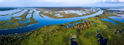 Wetlands Can Protect Us From Climate Change - Clean Future