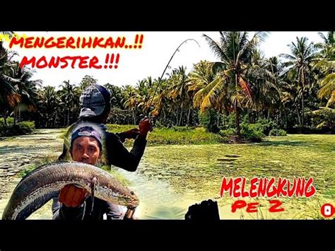 Casting Ikan Gabus Mancing Ikan Gabus Di Spot Rawa Menegankan