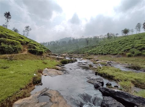 River View Hill Stay Cheap Homestay In Valparai Valparai Homestay