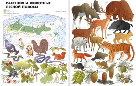 Мир вокруг нас: географический атлас для детей, 1994.