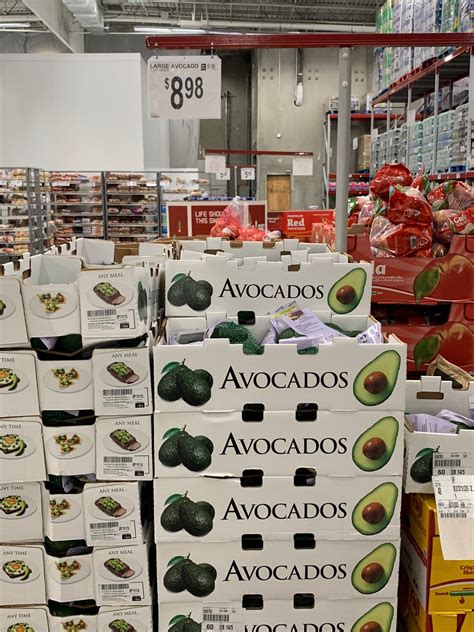 sam's club in concord 5