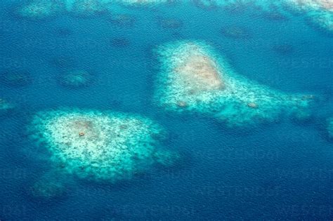 Oceania Palau Pacific Ocean Coral Reef Stock Photo