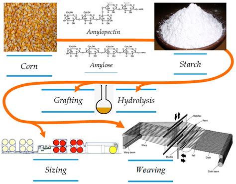 Hydrolysis Of Corn Starch