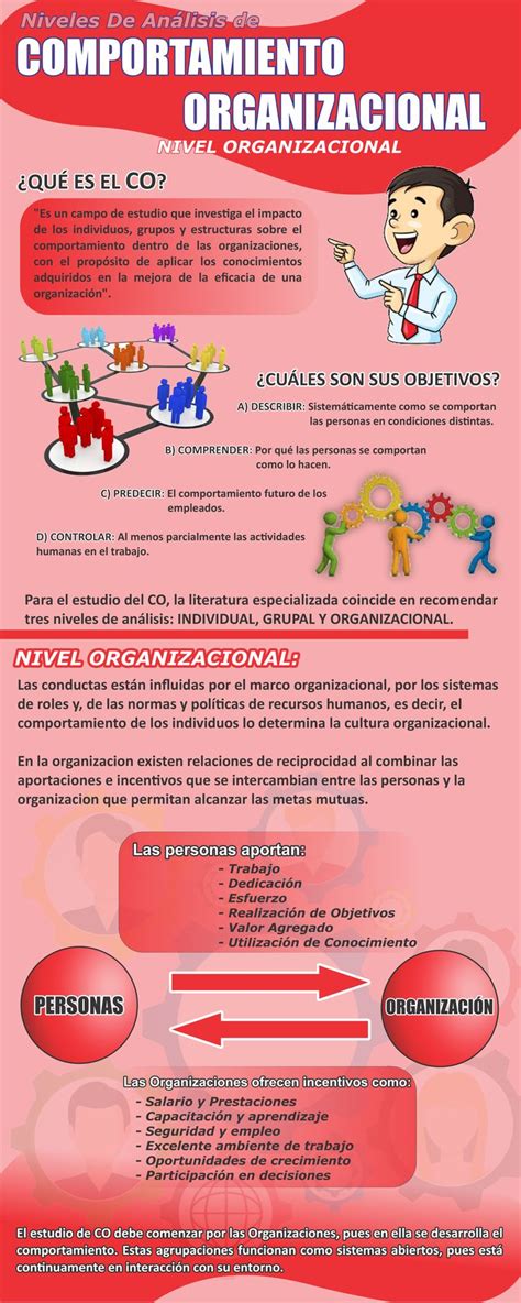 Niveles De Comportamiento Organizacional Nivel Organizacional