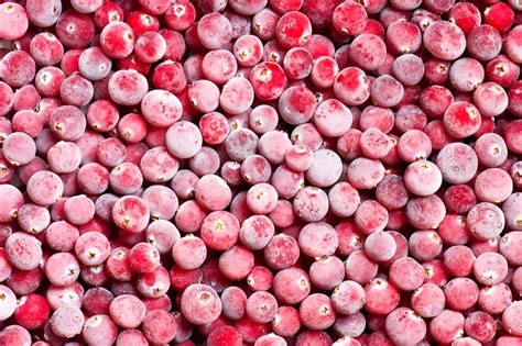 Natural Iqf Frozen Cranberry Packaging Size Kg Packaging Type