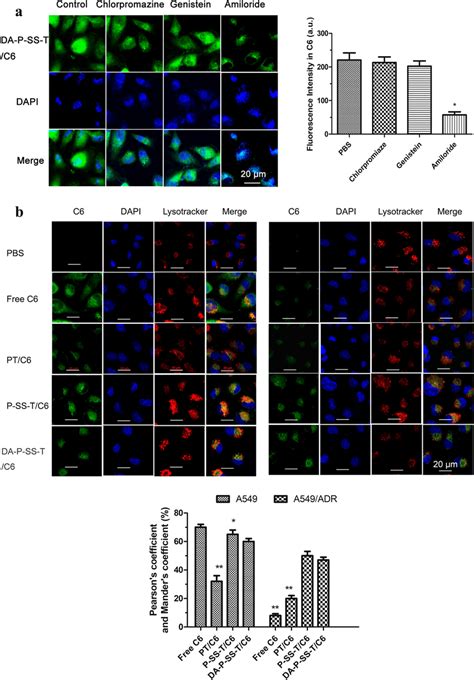 Cellular Uptake And Lysosomal Escape Of DA P SS T PTX Nanomicelles