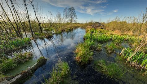 Zdj Cie Cie Ka Edukacyjna Ob Z Powsta Czy Poleski Park Narodowy