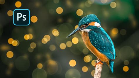 Bird Photo Edit By Adding Bokeh Photoshop Tutorial Youtube