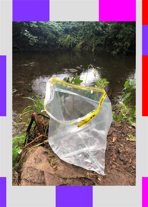 Tracking Biodiversity Impacts Is Challenging. Can DNA Tech Help?