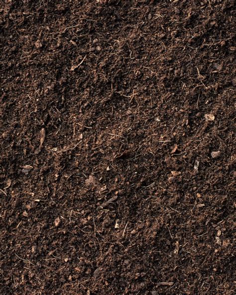 All The Different Soil Types Explained Patient Gardener