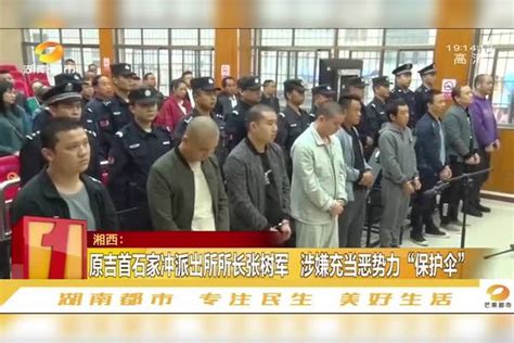 又一官员被双开！派出所所长充当恶势力“保护伞”，依法判刑16年