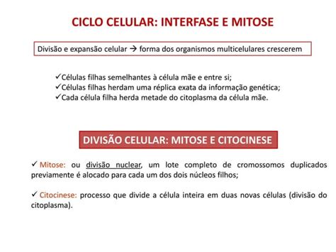 Ciclo Celular E Mitose Pdf