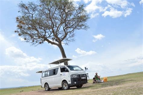 East Africa Vs Southern Africa Safaris How To Choose Best Safaris In Africa