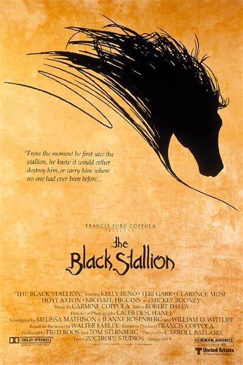 The Black Stallion (1979) Poster #1 - Trailer Addict