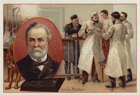 Louis Pasteur French Chemist And Microbiologist Stock Image Look And