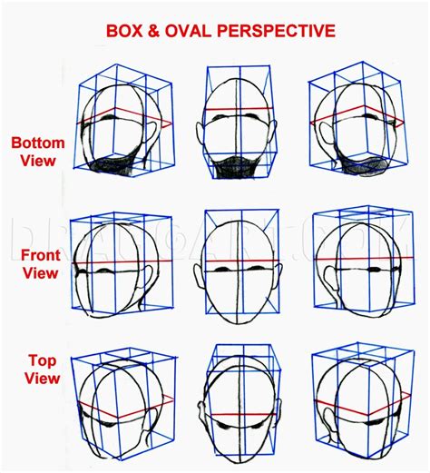 How To Draw Human Figure Step By Step at Drawing Tutorials