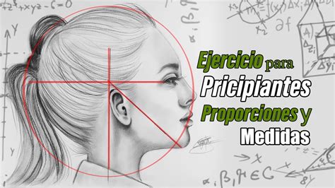 Ejercicio Para Pricipiantes En Los Dibujos Proporciones Y Medidas Simples Youtube