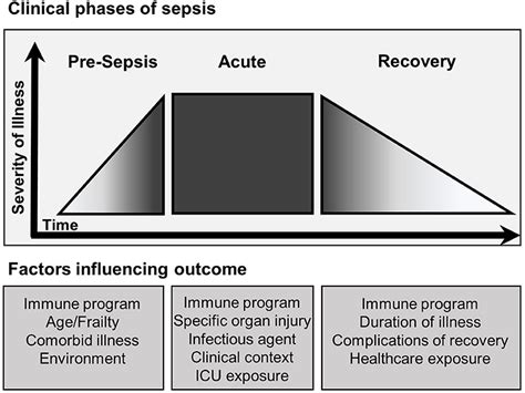 Frontiers Sepsis And Nosocomial Infection Patient Characteristics