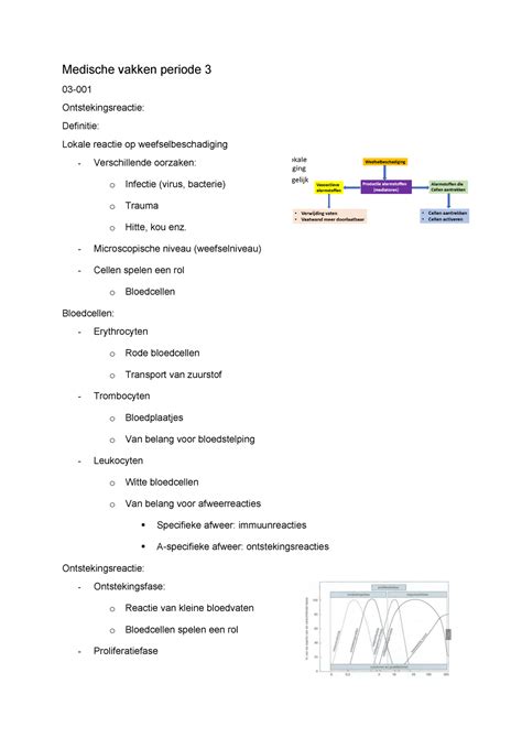 Samenvatting Mv P Jaar Mbrt Medische Vakken Periode