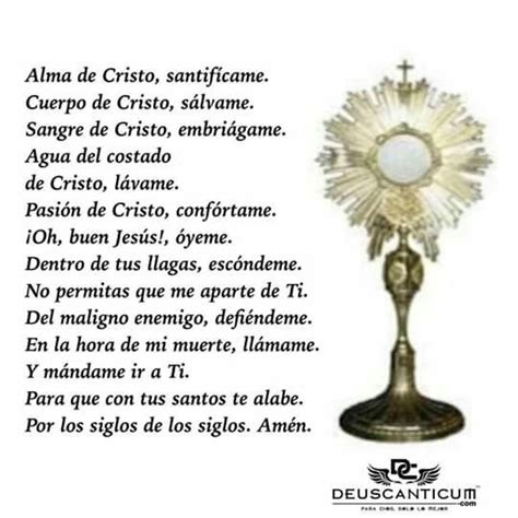 Alma De Cristo Alma De Cristo Santificame Oraciones Oracion Sangre De Cristo