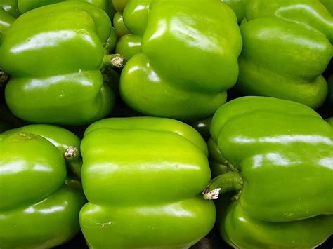 Green Red And Yellow Capsicum A Grade Capcicum Pan India Packaging