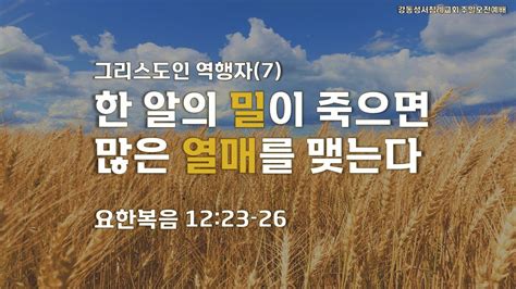 2022년11월13일 주일 오전설교 말씀 I 그리스도인 역행자7한 알의 밀이 죽으면 많은 열매를 맺는다 I 요한복음 12